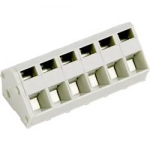 Image of Spring loaded terminal 2.50 mm2 Number of pins 12 AK300012 5.0