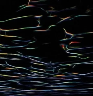 Image of Biokinetics by Porter Ricks CD Album