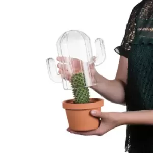 Image of Cactus Terrarium