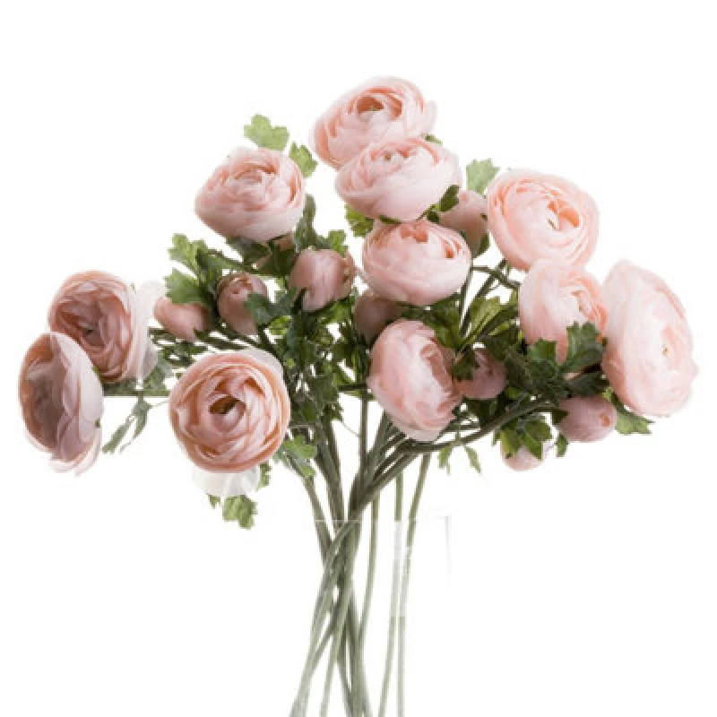 Image of Hill Interiors UK Homeliving Pastel Pink Ranunculus