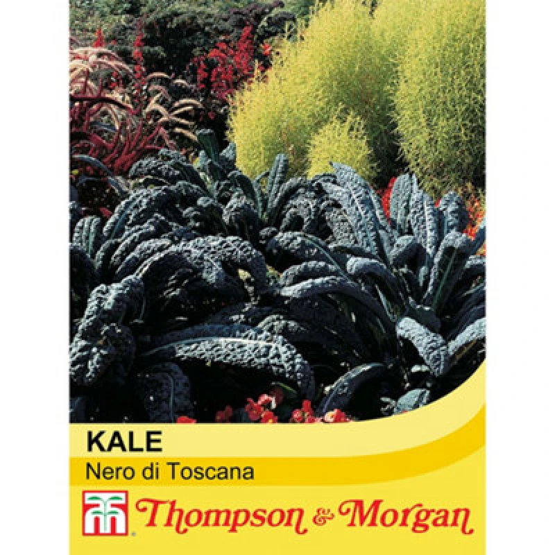 Image of Thompson & Morgan Kale Nero Di Toscana 1 Seed Packet (250 Seeds)