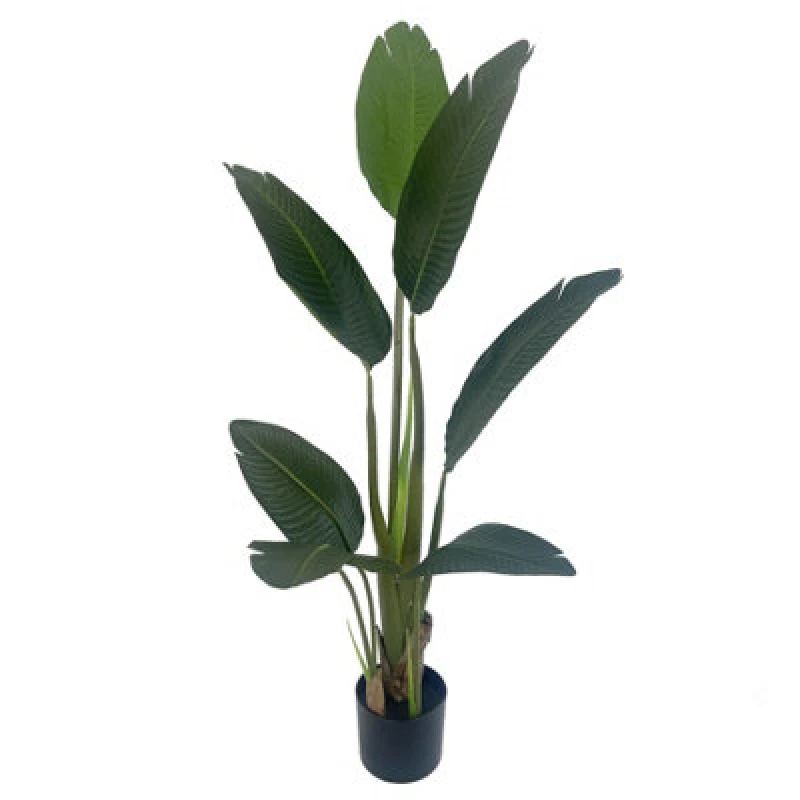 Image of Leaf 120cm UV Traveller Banana Palm Tree Green