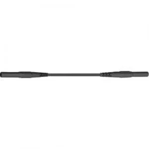 Image of Safety test lead 2m Black Staeubli XMS 419