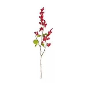 Image of Red Winter Berry Trailing Spray Red