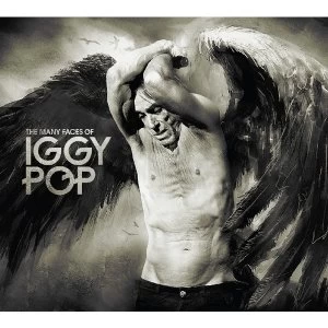 Image of Iggy Pop - The Many Faces Of Iggy Pop Limited Transparent/Black Marble Vinyl