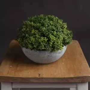 Image of Small Hebe Globe Pot
