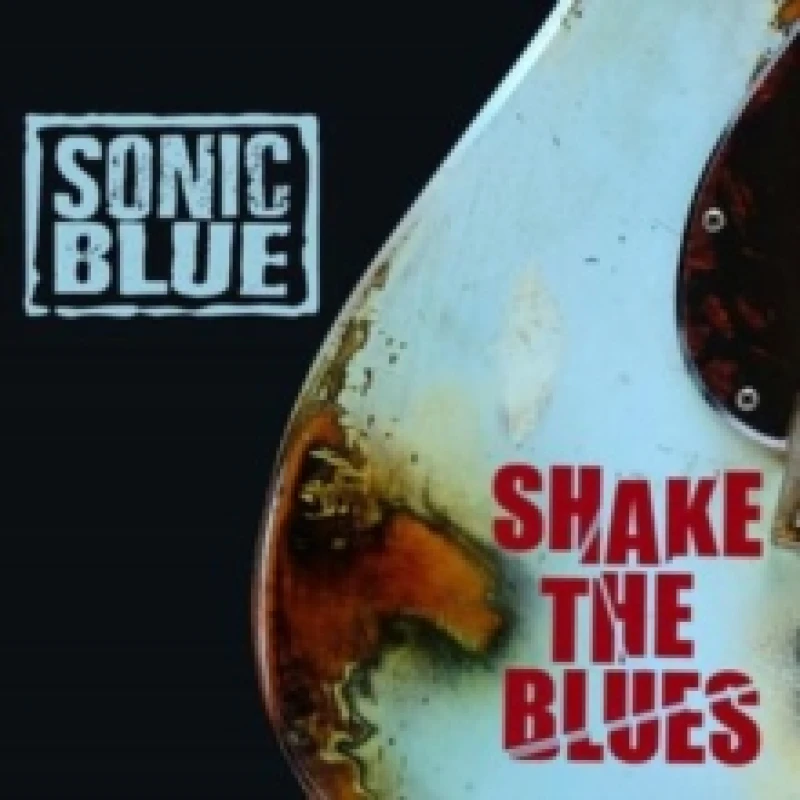 Image of Shake the Blues CD / Album