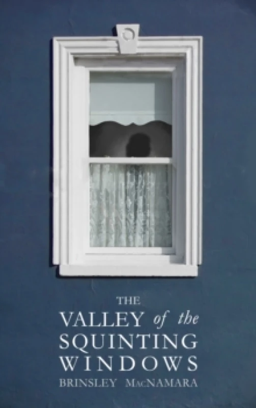 Image of The Valley of the Squinting Windows Paperback / softback