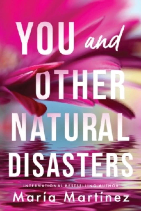 Image of You and Other Natural Disasters Paperback / softback