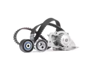 Image of SKF Water Pump + Timing Belt Kit FIAT,PEUGEOT,CITROEN VKMC 03213 N01025414,N01025420,081673 081698,082932,082935,083028,083031,083063,120193,1201A1