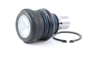 Image of RIDEX Ball joint 2462S0364 Suspension ball joint,Suspension arm ball joint RENAULT,NISSAN,Clio III Schragheck (BR0/1, CR0/1)