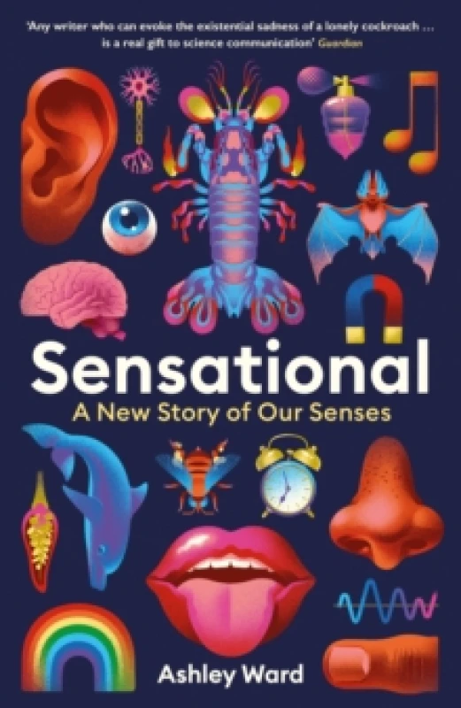 Image of Sensational : A New Story of our Senses Paperback / softback