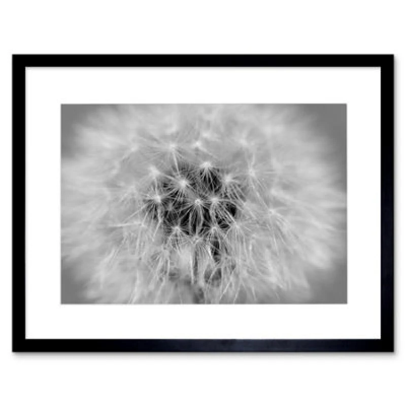 Image of Artery8 Photo Black White Dandelion Seeds Home Decor 12X16" Framed Wall Art Print