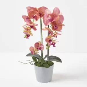 Image of HOMESCAPES Coral Orchid 58cm Phalaenopsis in Ceramic Pot - Coral
