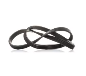 Image of Bosch V-ribbed belt FORD,FIAT,PEUGEOT 1 987 946 118 4009P2,4009Q4,9664069480 K9664069480,1434348,1449474,1465190,6C1Q6D314AA,6C1Q6D314AB,4009P2,4009Q4