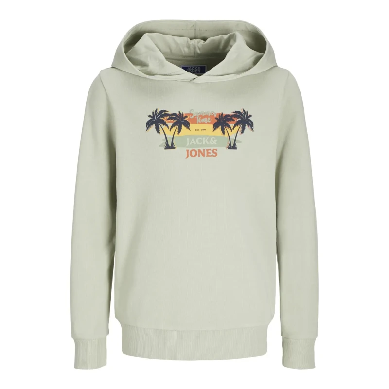 Image of jack & jones Child hoodie Jack & Jones Summer SMU Vibe Vert Male 10 ans