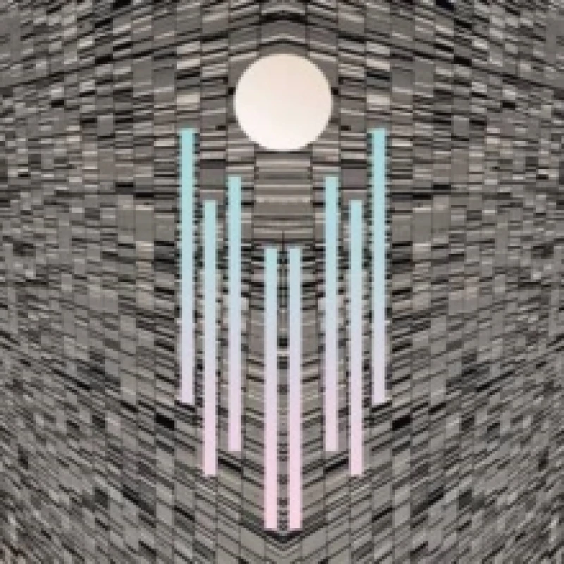 Image of L'orchaostre Vinyl