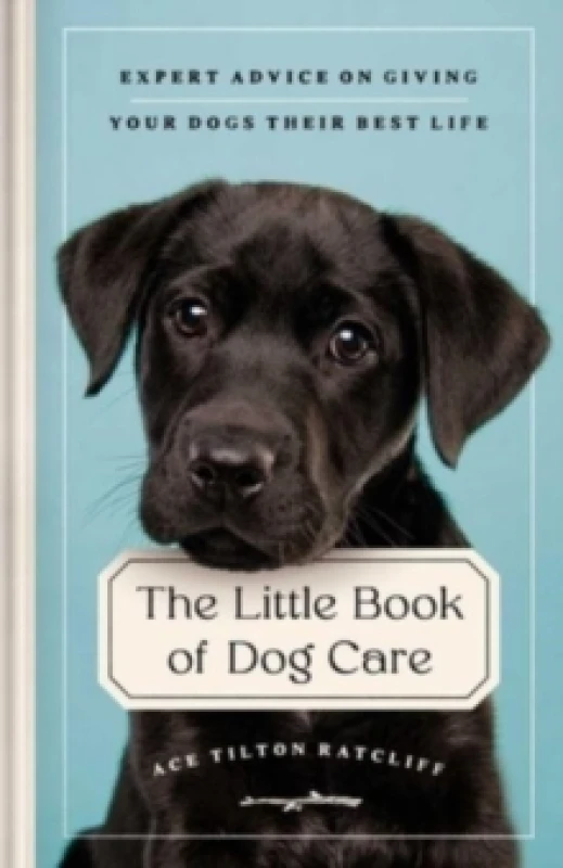 Image of The Little Book of Dog Care : Expert Advice on Giving Your Dog Their Best Life Hardback