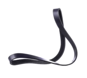 Image of RIDEX V-ribbed belt VW,AUDI,FORD 305P0165 03G903137A,128051,128065 Serpentine belt,Auxiliary belt,Poly V-belt,Ribbed belt,Multi V-belt,Poly belt