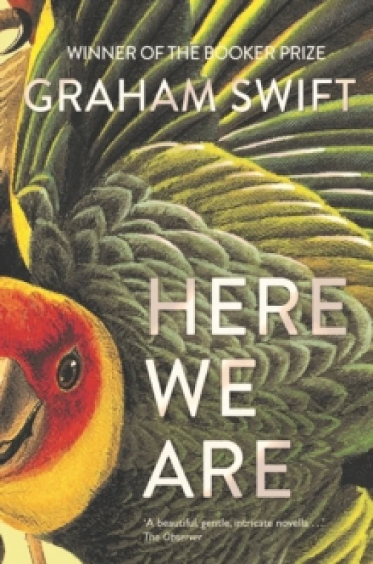 Image of Here We Are Paperback / softback