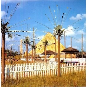 Image of Satanized Technical Virginity Vinyl