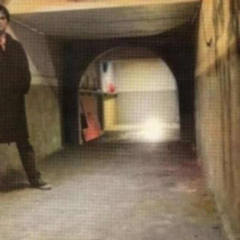 Image of Government Issue Vinyl