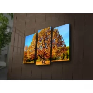 Image of 3PAT?ACT-26 Multicolor Decorative LED Lighted Canvas Painting (3 Pieces)