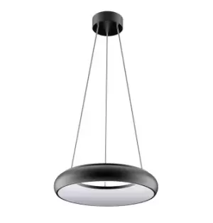 Image of Phoebe LED Drop Pendant Downlight 25W Polo Warm White 120° Diffused Black