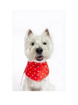 Image of Joules Red Hello Polka Dot Neckerchief