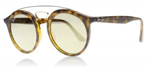 Image of Ray-Ban 4256 Sunglasses Matte Tortoise / Gold 6092-5A 49mm