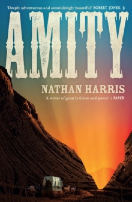 Image of Amity. Hardback. By Nathan Harris Books