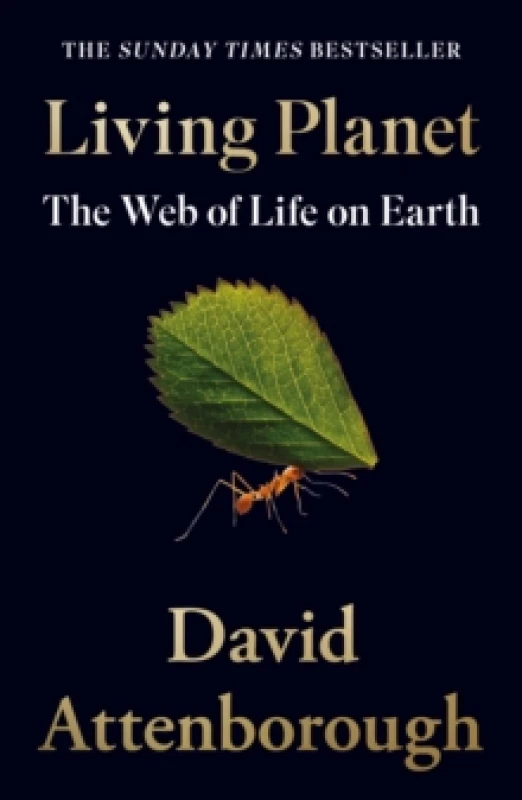 Image of Living Planet : The Web of Life on Earth Paperback / softback