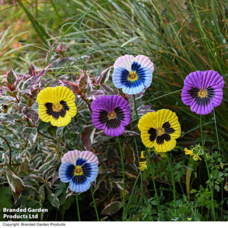 Image of Garden Gear Metal Pansy Flower Stakes Decorative Ornament, Set Of 6