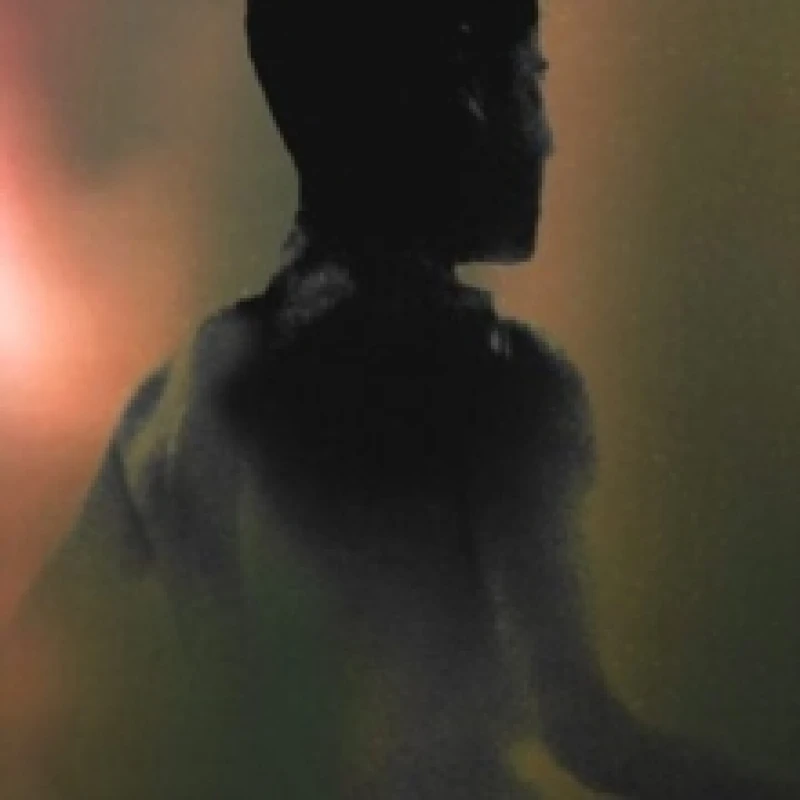 Image of Raeon Vinyl