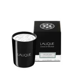Image of Lalique Candle 190g - Peuplier Aspen