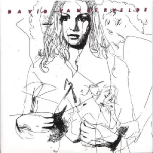 Image of Jacket/Murder in Michigan by David Vandervelde Vinyl Album