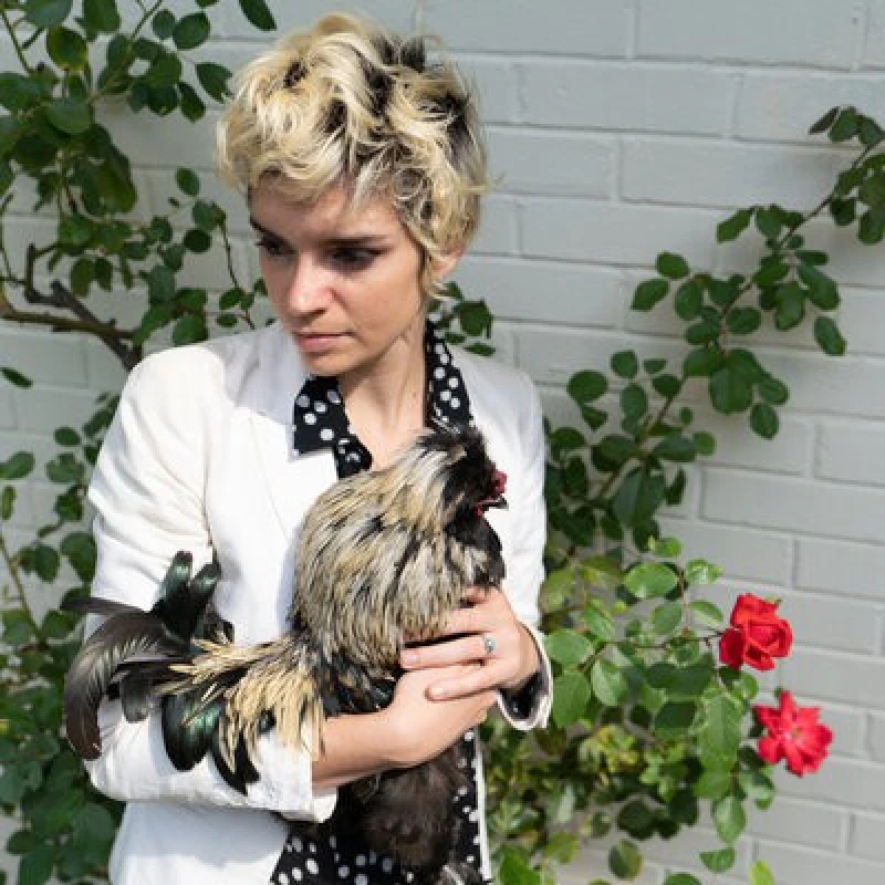 Image of Cockerel CD / Album