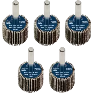 Image of Sealey Flap Wheels Pack Of 5 25mm 20mm 60g
