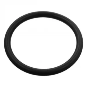Image of Sealing Ring 100991 by Febi Bilstein