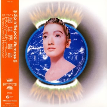 Image of Dip In the Pool - Aurorae Vinyl