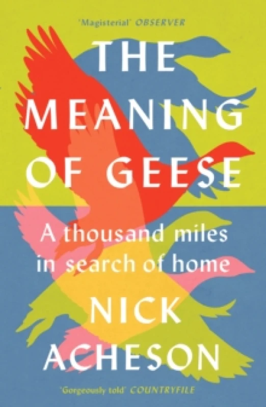 Image of The Meaning of Geese : A Thousand Miles in Search of Home Paperback / softback