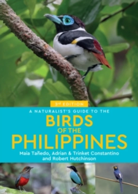 Image of A Naturalist's Guide to the Birds of the Philippines Paperback / softback