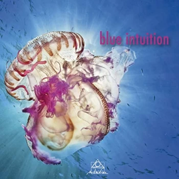 Image of Various Artists - Blue Intuition CD