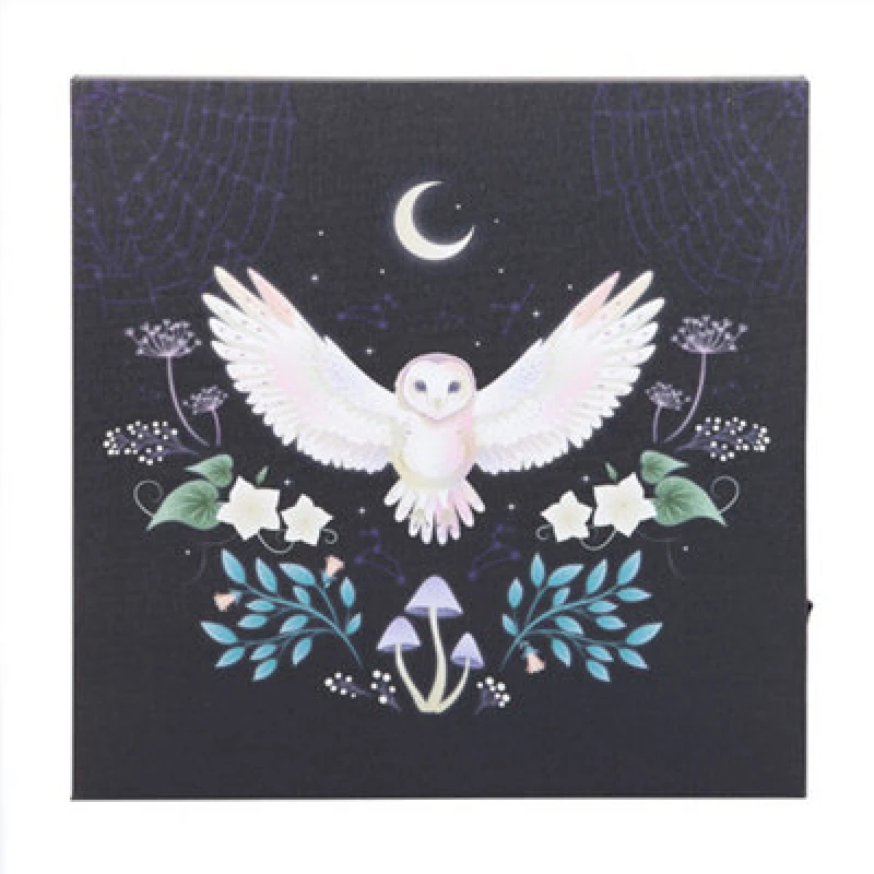 Image of Something Different Something Different Night Owl Light Up Canvas Multi One Size Unisex 5063574821162