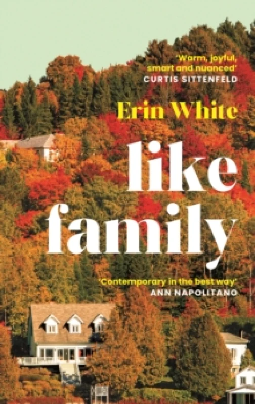 Image of Like Family Paperback / softback