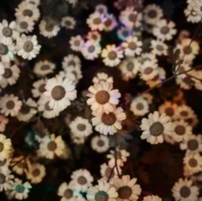 Image of The World Is Still Chaos, But I Feel Better Vinyl