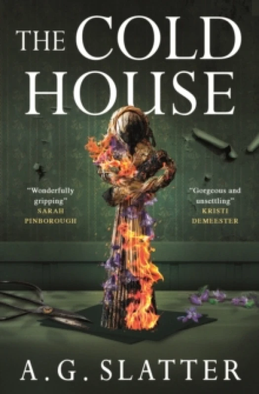 Image of The Cold House Hardback