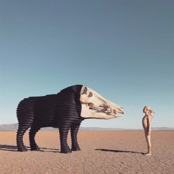 Image of Man Man - Dream Hunting In The Valley Of The In-Between Vinyl