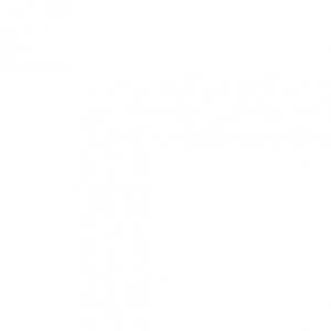 Image of ForgeFix ForgeMaster Masonry Drill Bit 10.0 x 300mm