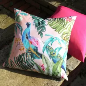 Image of Evans Lichfield Peacock Outdoor Cushion Pink